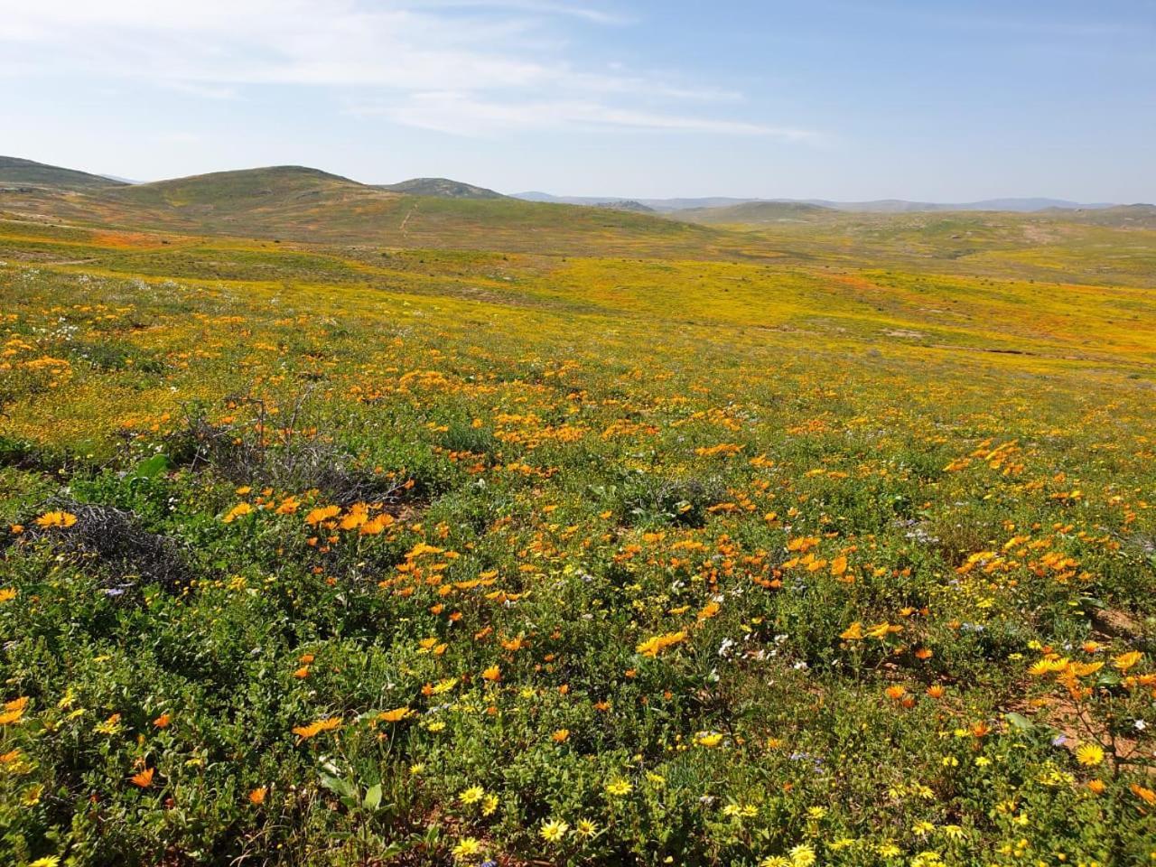 Namaqualand Eco Lodge Soebatsfontein Exterior photo